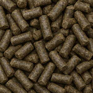 chatgpt image oct 31, 2025, 04 22 36 am